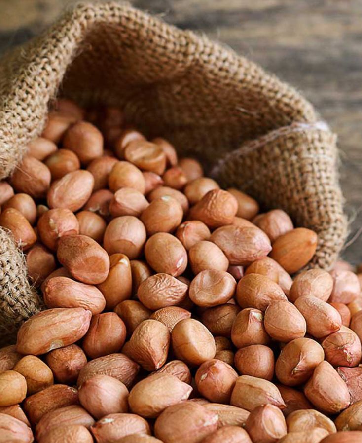 untitled design (10)